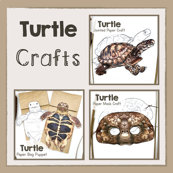 Preview of BUNDLE | Turtle | Printable Paper Craft Templates | Turtles