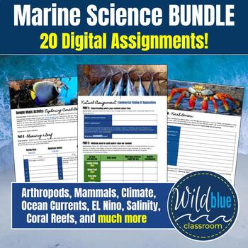 Preview of BUNDLE of Marine Science Digital Assignments | TWENTY NINE Google Docs