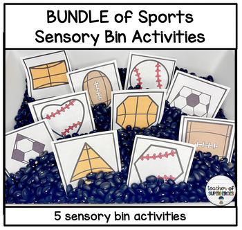 Preview of BUNDLE of Sports Sensory Bin Activities for Preschool, Special Education