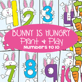 Numbers and Counting Math Game Pack - Bunny is Hungry