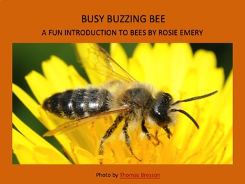 Preview of BUSY BUZZING BEE!