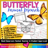 BUTTERFLY Animal Research for Spring / Summer Activities :