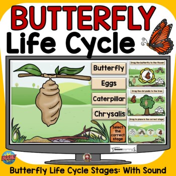 Preview of BUTTERFLY LIFE CYCLE BOOM DIGITAL CARDS: GOOGLE CLASSROOM DISTANCE LEARNING