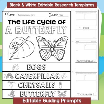BUTTERFLY LIFE CYCLE DIGITAL RESEARCH REPORT TEMPLATES: GOOGLE SLIDES ...
