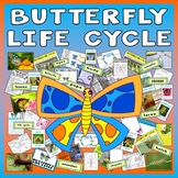 BUTTERFLY LIFE CYCLE TEACHING RESOURCES SCIENCE INSECTS MI