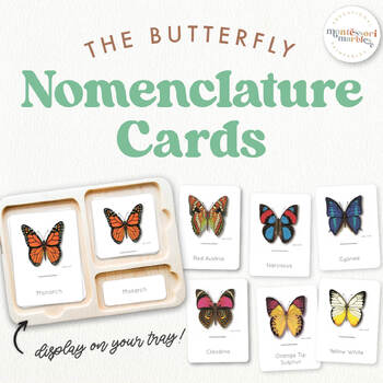 Preview of BUTTERFLY Montessori Nomenclature Cards, Types of Butterflies