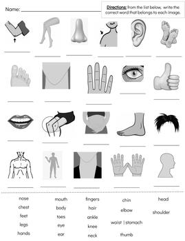 Preview of BW001: (GOOGLE) BODY (parts of | clip art | isolated)(2pgs)
