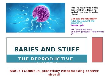 Preview of Babies and Stuff -- The Reproductive System PowerPoint