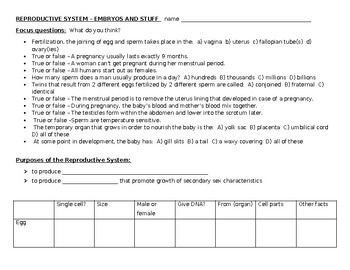 Preview of Babies and Stuff -- The Reproductive System worksheets