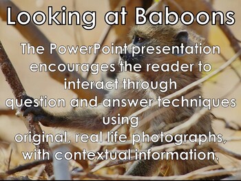 Preview of BABOON - Interactive PowerPoint presentation including video snippets