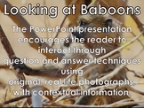 BABOON - Interactive PowerPoint presentation including vid