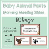 Baby Animal Facts Morning Meeting Slides | 180 Days of Facts
