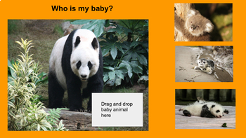 Preview of Baby Animal Matching Game