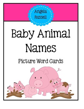 Preview of Baby Animal Names - Picture Word Cards