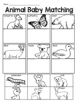 Animal Babies Worksheets - Animal Baby/Parent Matching by Ms Knopf