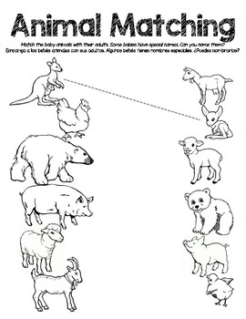 Animal Babies Worksheets - Animal Baby/Parent Matching by Ms Knopf