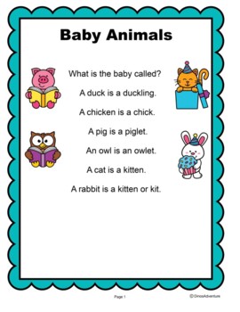 Baby Animals- Kindergarten-1st reading nonfiction passage by DinosAdventure