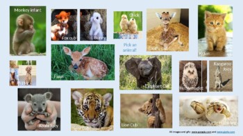 Preview of Baby Animals Themed Gross Motor Physical Therapy PowerPoint Activity Virtual PT