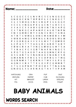 Baby Animals Word Search Puzzle by fun with puzzles | TPT