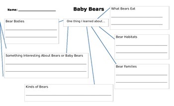 Preview of Baby Bears Graphic Organizer