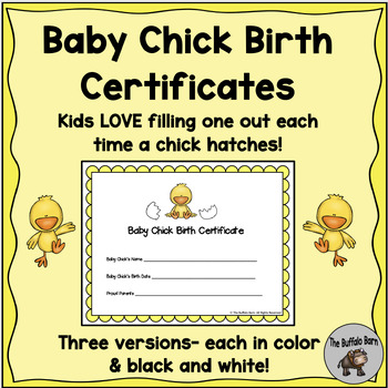 Preview of Baby Chick Birth Certificate for Hatching Chicks in the Classroom