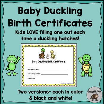 certificate birth baby classroom hatching ducks duckling teacherspayteachers