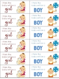 Baby Gender Prediction Mini Unit and Party Activities for 