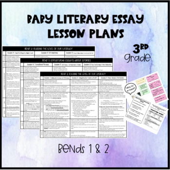 Preview of Baby Literary Essay (3rd grade) Lesson Plans