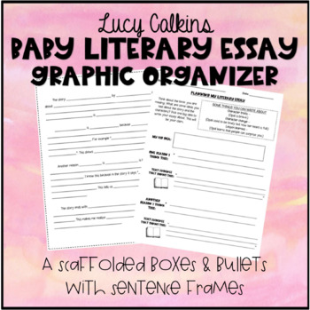 Preview of Baby Literary Essay Graphic Organizer