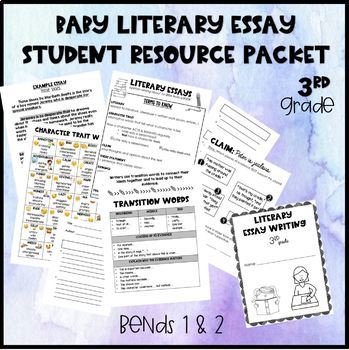 Preview of Baby Literary Essay Student Resource Packet