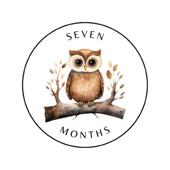 Preview of Baby Milestones Woodland Characters Months 1-12