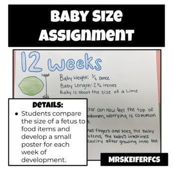 Preview of Baby Size Comparison Assignment / Project | FCS | Child Development 
