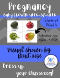 Baby Size with Fruit Visual (Maternity/Pregnancy)