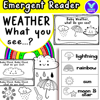 Preview of Baby Weather What do you se Emergent Reader Kindergarten & First Grade Mini Book