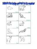 Baby and Adult Animal Matching Cards with Activities