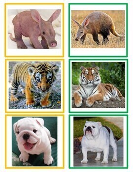 baby animals and their parents matching game