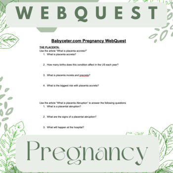 Preview of Babycenter.com Pregnancy Webquest