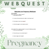 Babycenter.com Pregnancy Webquest