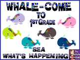 Back to School Bulletin Board WHALEcome to ___ Grade