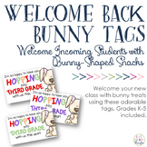 Back to School Bunny Snack Tags
