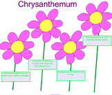 Back to School Chrysanthemum Story Lesson and Smartboard A