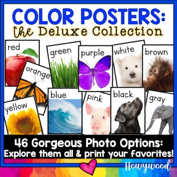 Preview of Back to School Color Posters : 46 Gorgeous Options! Nature , Animals , Food
