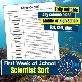 Preview of Back to School First Day Activity - Scientist Sort | Marine Science first week