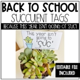 Back to School Gift | Succulent Gift | For Teachers & Parents