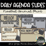Back to School Neutral Animal Print Agenda Slides and Bell
