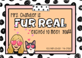 Back to School Postcard Meet-the-Teacher CAT Bitmoji editable