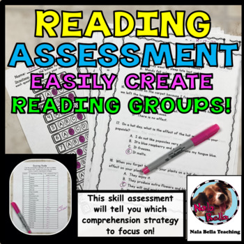 Preview of Back to School Reading Comprehension Assessment