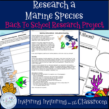 Preview of Back to School Research an Ocean Animal Activity