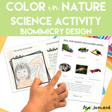 Science Activity |  All about Me & My Colorful Animal |  N