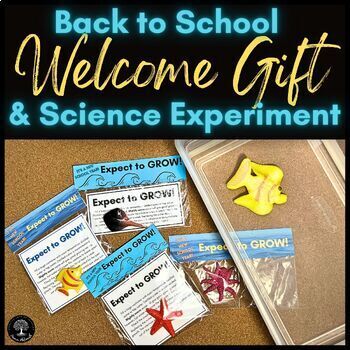 https://ecdn.teacherspayteachers.com/thumbitem/Back-to-School-Welcome-Gift-Labels-Experiment-Lesson-9731950-1697719939/original-9731950-1.jpg